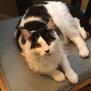 Meet your Posher, Kaleigh